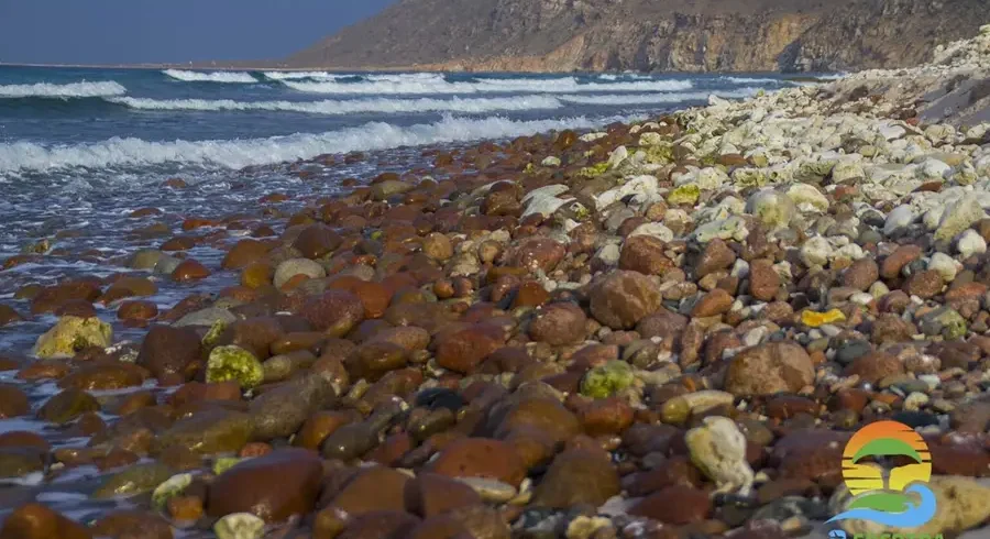 delisha-delisha-topaz-socotra-1536x1024