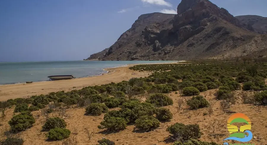 detwah-lagon-lake-qalansiya-socotra-island-2-1536x1024