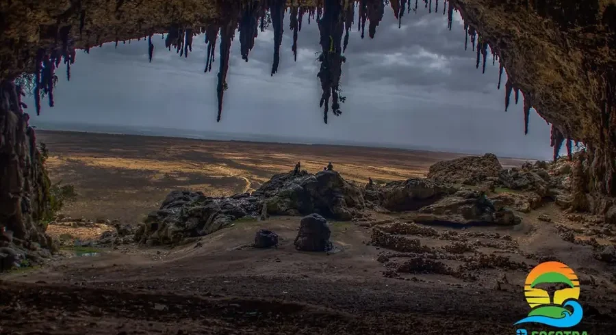 inside-dagub-cave-noged-socotra-island-1536x1019