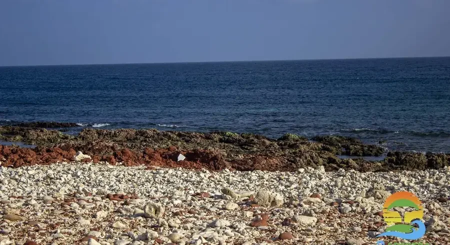 sea-camping-area-dihamri-marine-protected-area-socotra-island-1536x1024