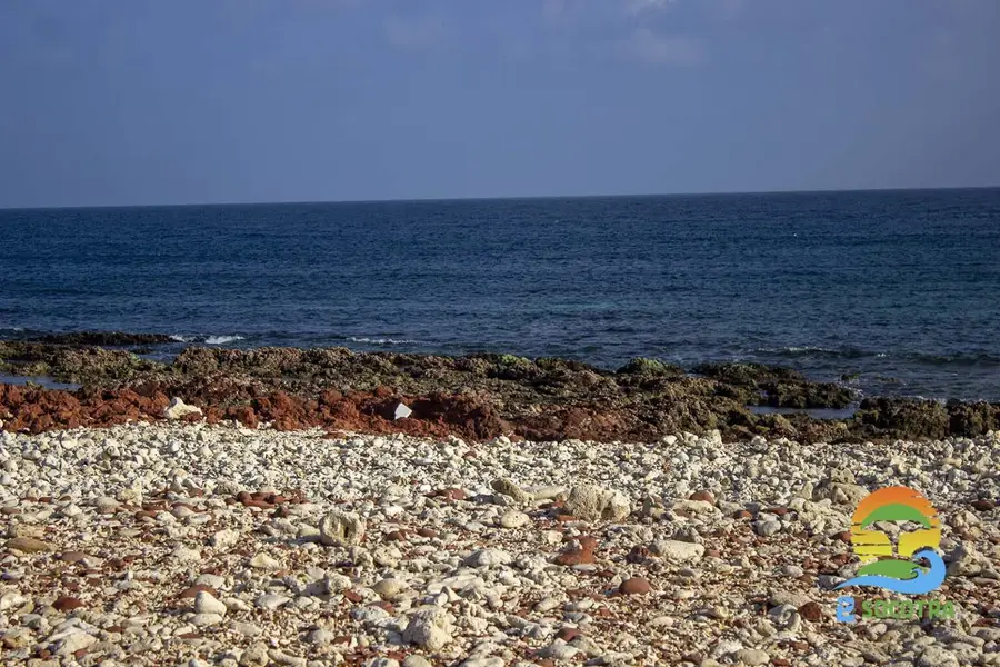 sea-camping-area-dihamri-marine-protected-area-socotra-island-1536x1024