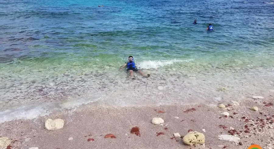 snorkeling-and-diving-to-see-the-colorful-fish-dihamri-marine-protected-area-socotra-island-1536x1152