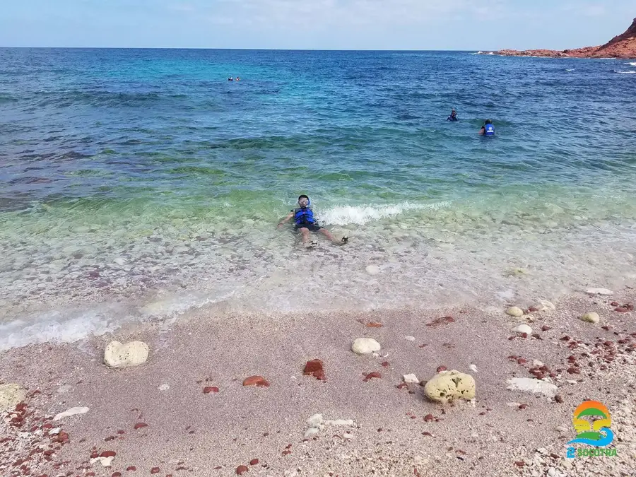 snorkeling-and-diving-to-see-the-colorful-fish-dihamri-marine-protected-area-socotra-island-1536x1152